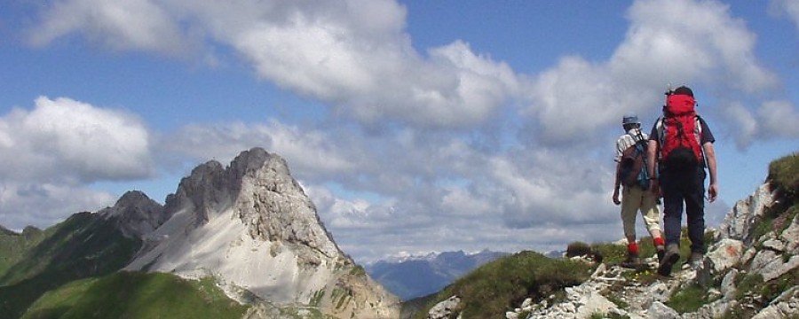 1753-1503555349.jpg