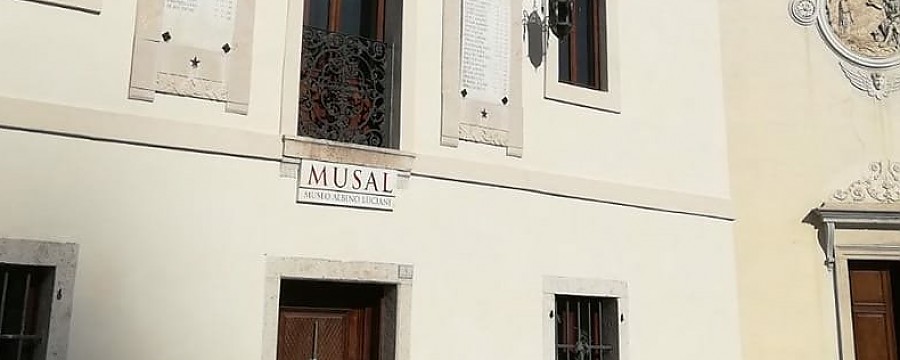 IMG-9226-1612253496.jpg