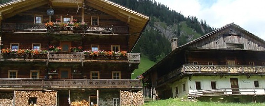 NewLeed-1536935202.jpg