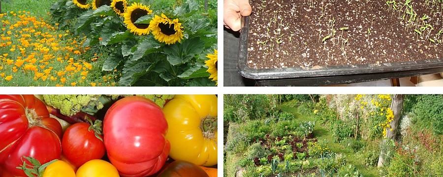 garten-1522917760.jpg